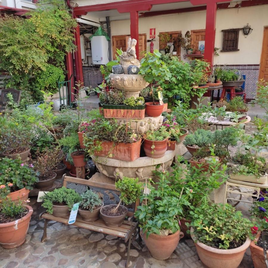 Hostal Castilla Αράνχουεζ Εξωτερικό φωτογραφία