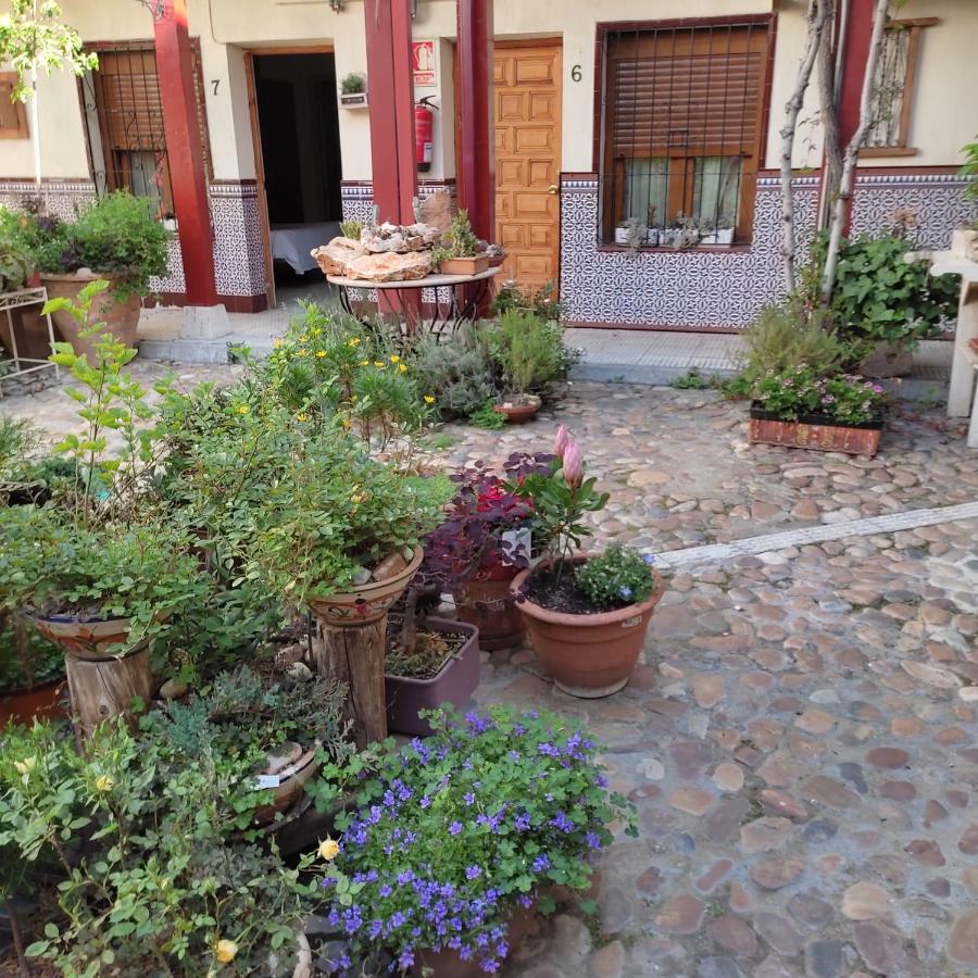 Hostal Castilla Αράνχουεζ Εξωτερικό φωτογραφία