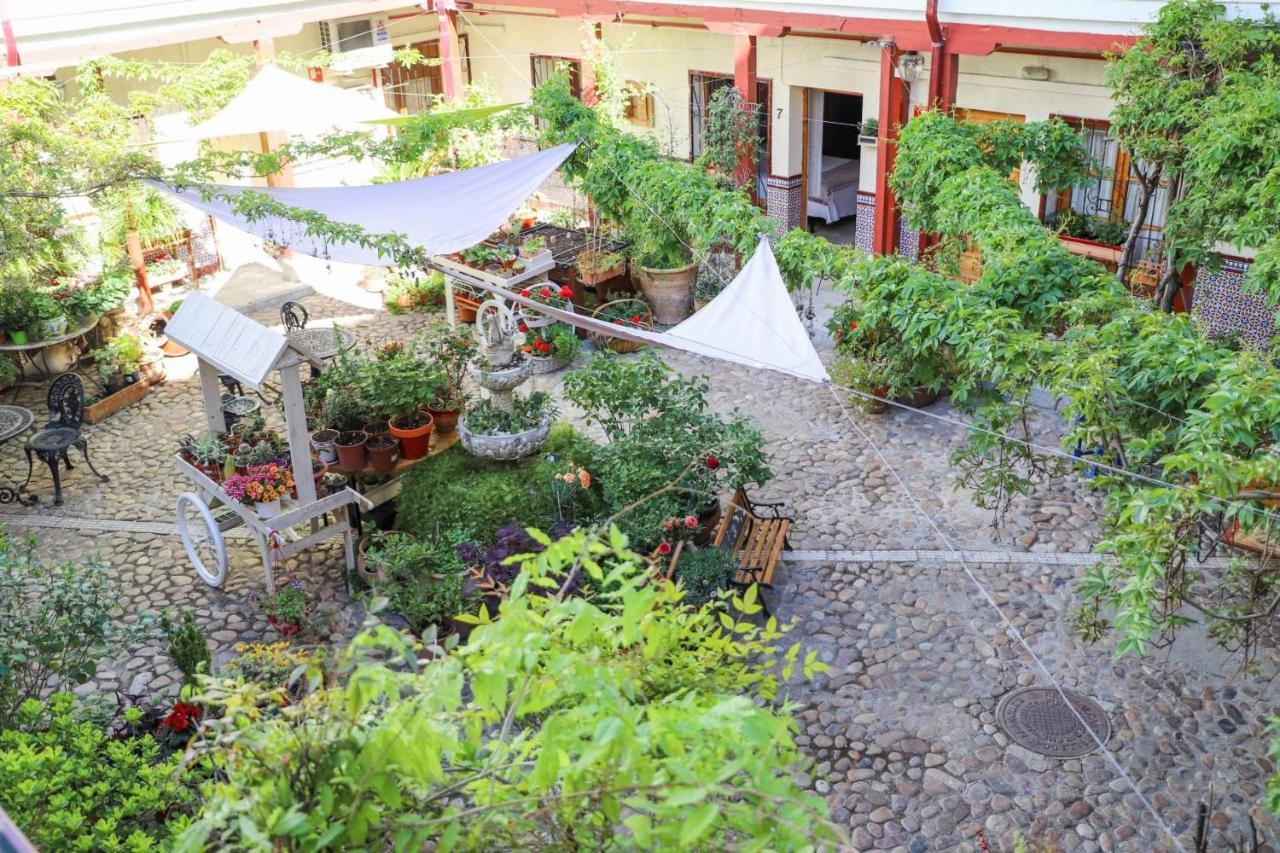 Hostal Castilla Αράνχουεζ Εξωτερικό φωτογραφία