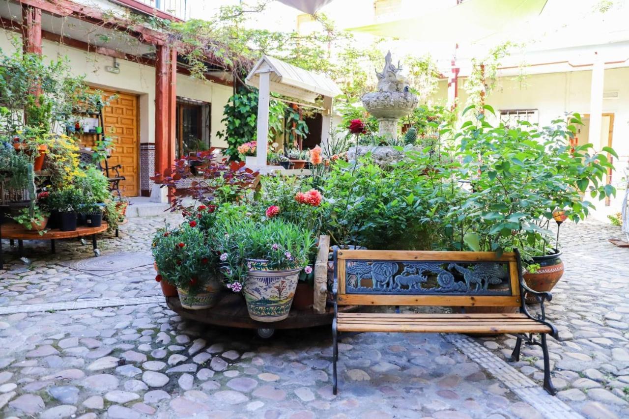 Hostal Castilla Αράνχουεζ Εξωτερικό φωτογραφία